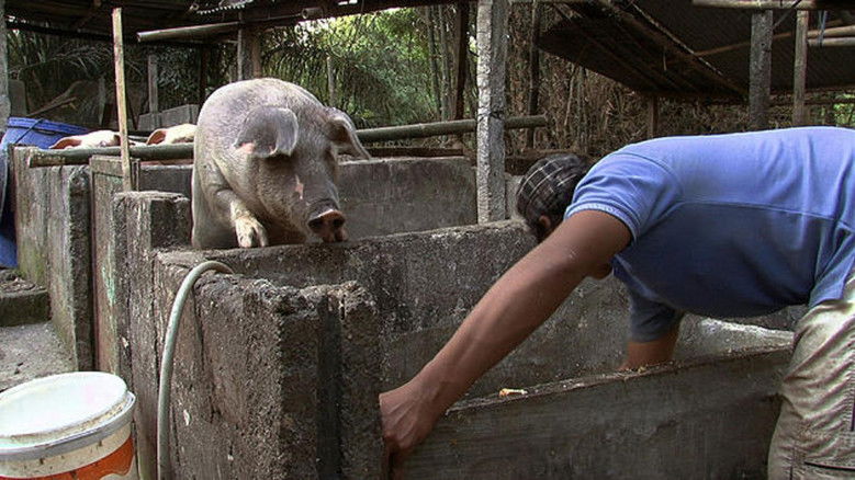 Backdrop image for movie Denok & Gareng