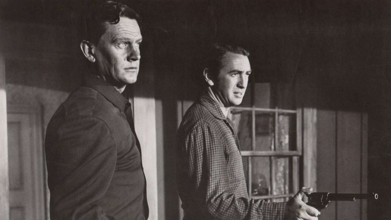 Backdrop image for movie The Great Missouri Raid