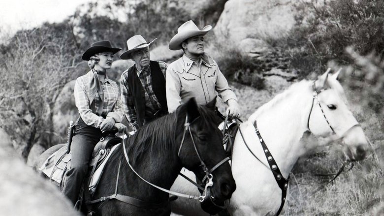 Backdrop image for movie Gunslingers