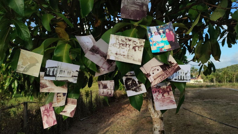 Backdrop image for movie As Mãos Que Ergueram Rio Fundo, Antes De Muniz Ferreira