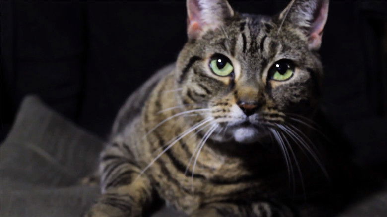 Backdrop image for movie A Meowy Christmas