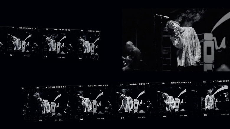 Backdrop image for movie Oasis Knebworth 1996 (Saturday Night)