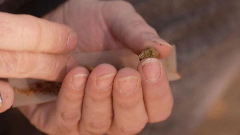 Backdrop image for movie Cannabis, un paradoxe français