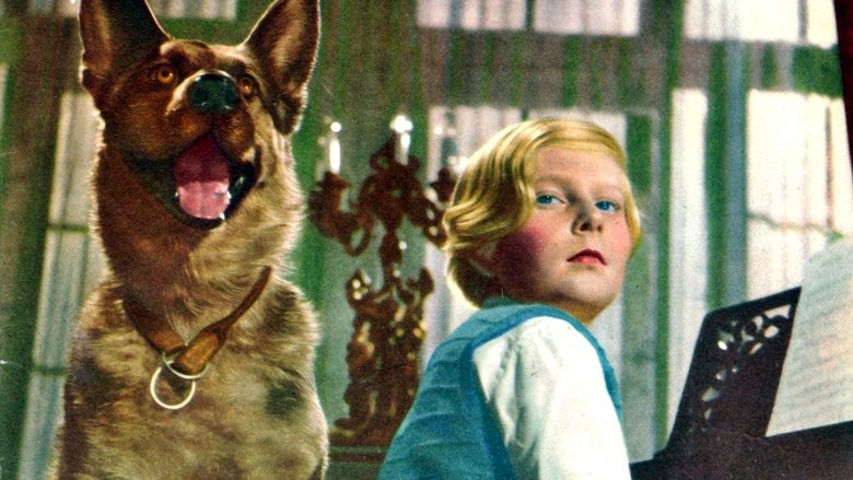 Backdrop image for movie The Wonder Kid