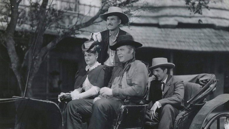 Backdrop image for movie The Younger Brothers