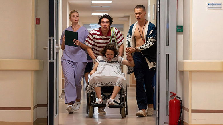 Backdrop image for movie Baby Boom, or Egg Nogg 5