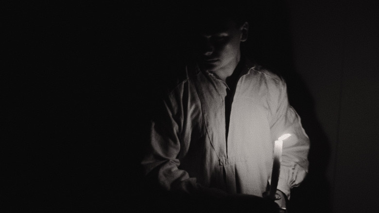 Backdrop image for movie The Metamorphosis