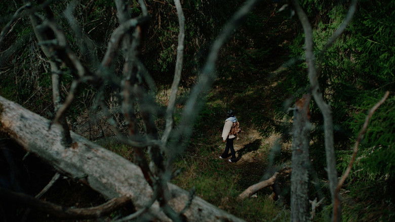 Backdrop image for movie Marco Polo