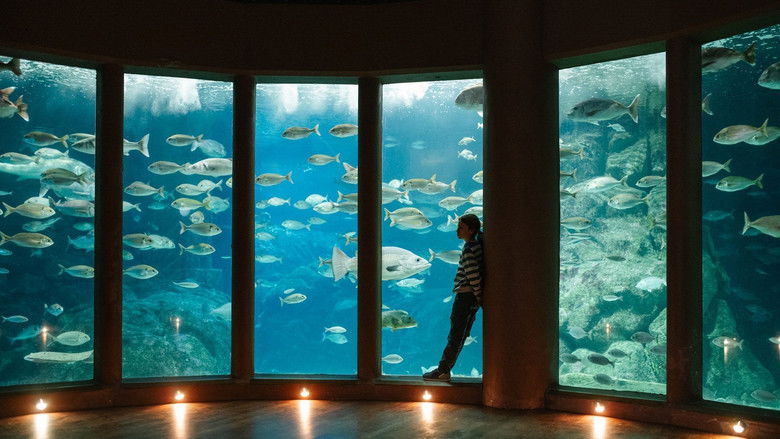 Backdrop image for movie Leo & Lou