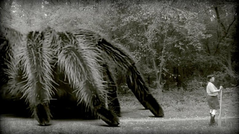 Backdrop image for movie The Giant Spider