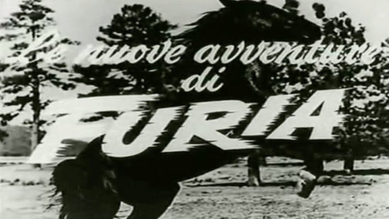 Backdrop image for movie Fury