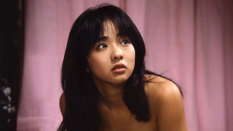 Backdrop image for movie Pink Curtain 3