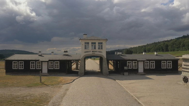 Backdrop image for movie Enquête sur les camps perdus du IIIème Reich