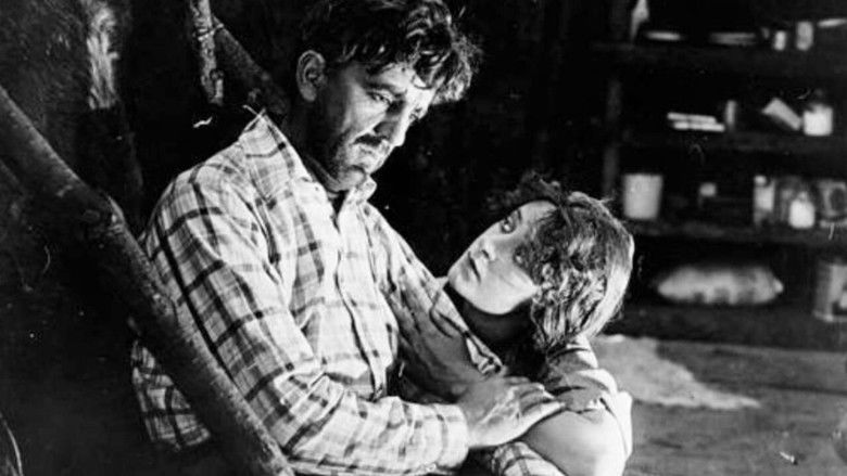 Backdrop image for movie Baree, Son of Kazan