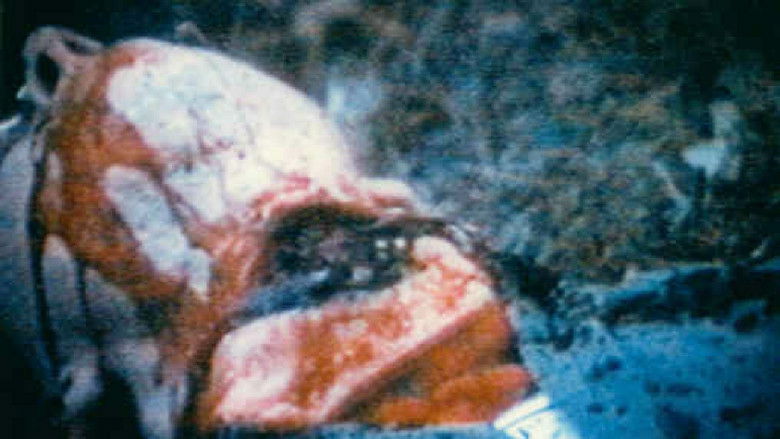 Backdrop image for movie Dementia