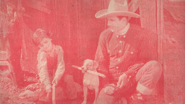 Backdrop image for movie The Wyoming Wildcat