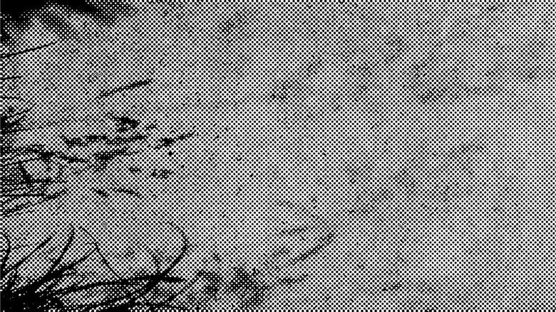 Backdrop image for movie The Switching Division