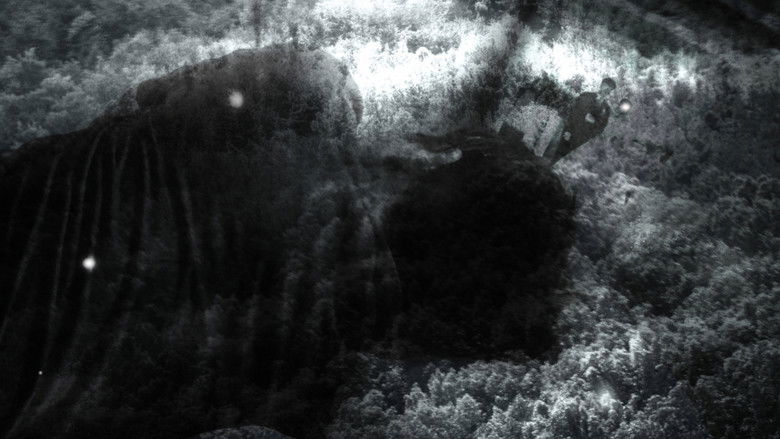 Backdrop image for movie Twilight