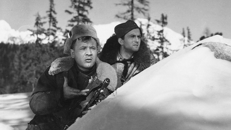 Backdrop image for movie White Darkness
