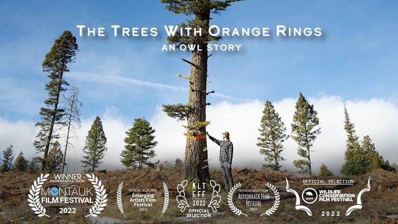 Backdrop image for movie The Trees with Orange Rings