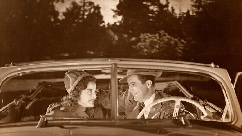 Backdrop image for movie Secrets of a Sorority Girl