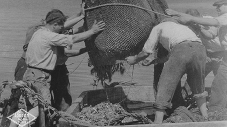 Backdrop image for movie Tuna Fishermen