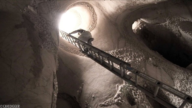 Backdrop image for movie Cavedigger