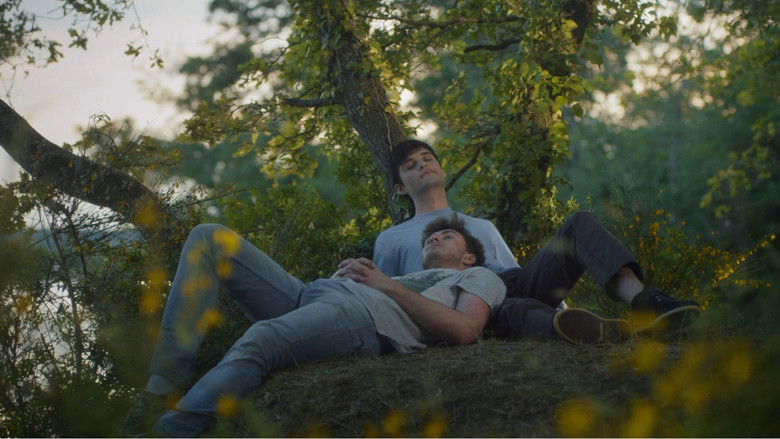 Backdrop image for movie The Extravagant Illnesses