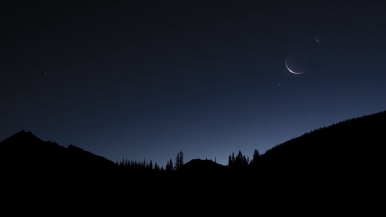 Backdrop image for movie LUX