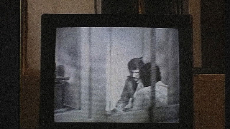 Backdrop image for movie Close-Up Long Shot