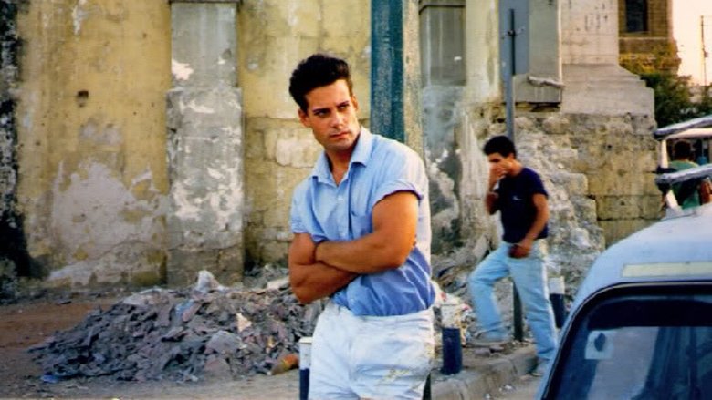 Backdrop image for movie Torn Apart