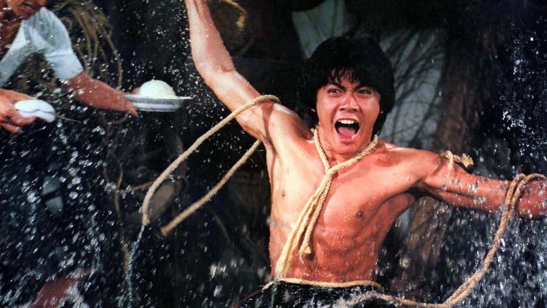 Backdrop image for movie Kung Fu Zombie