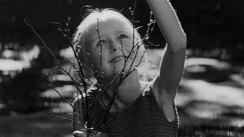 Backdrop image for movie The Beauty