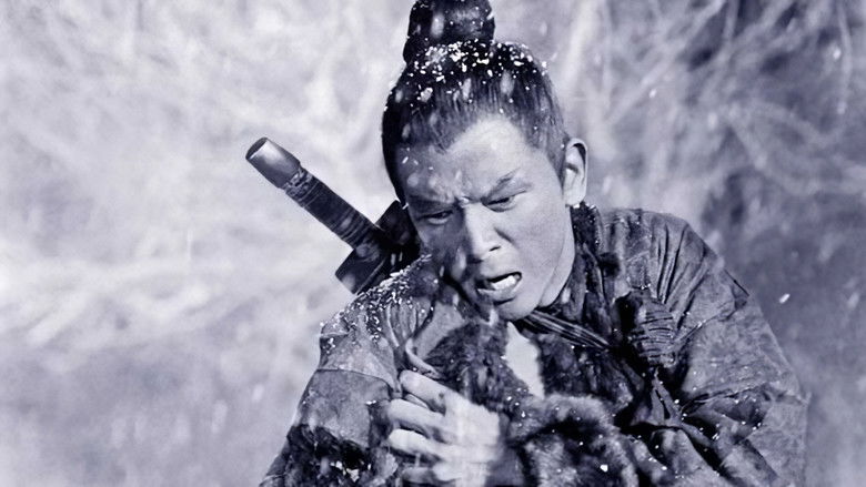 Backdrop image for movie The One-Armed Swordsman