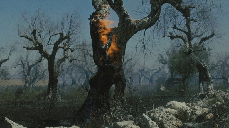 Backdrop image for movie The Era of Giants