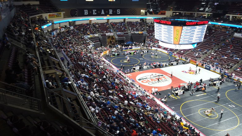 Backdrop image for movie Iron Maidens: Wrestling for Glory