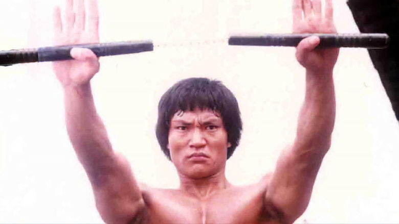 Backdrop image for movie The Dragon's Infernal Showdown