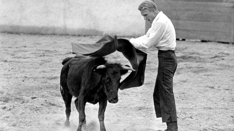 Backdrop image for movie Bullfighter and the Lady
