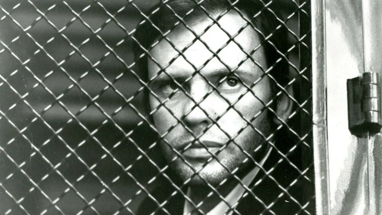 Backdrop image for movie Crime Thief