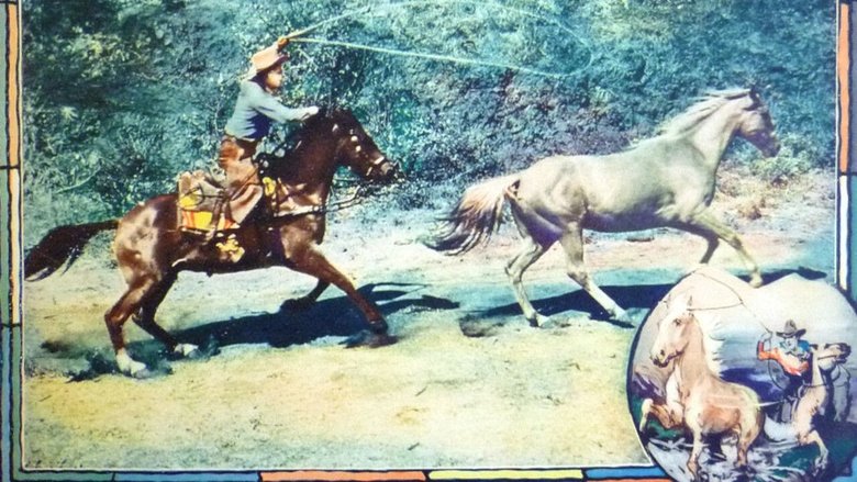 Backdrop image for movie The Long, Long Trail