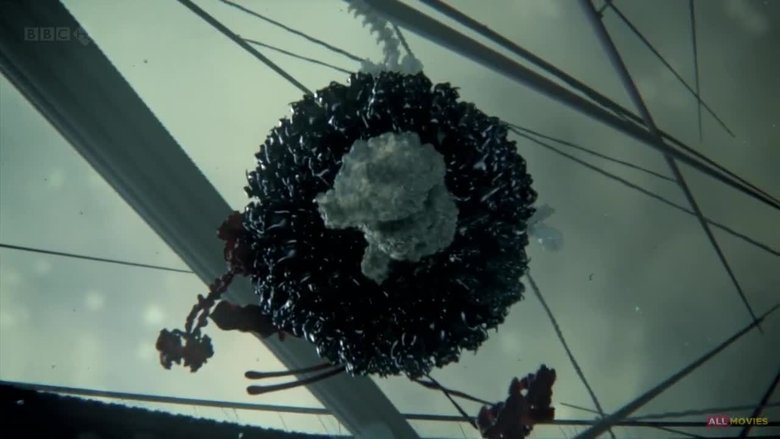 Backdrop image for movie Our Secret Universe: The Hidden Life of the Cell