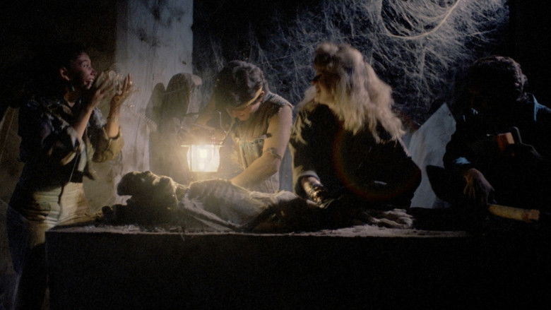 Backdrop image for movie Grave Robbers