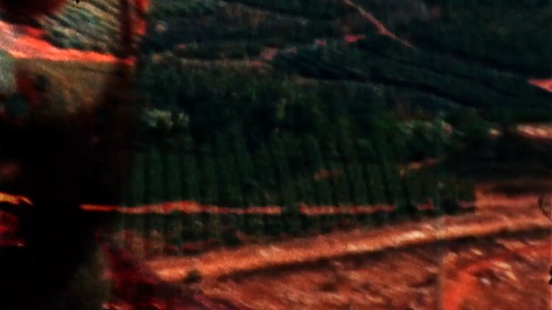 Backdrop image for movie There