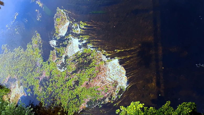 Backdrop image for movie Between the valleys, between the hills. In the footsteps of the future sound of Slovakia.