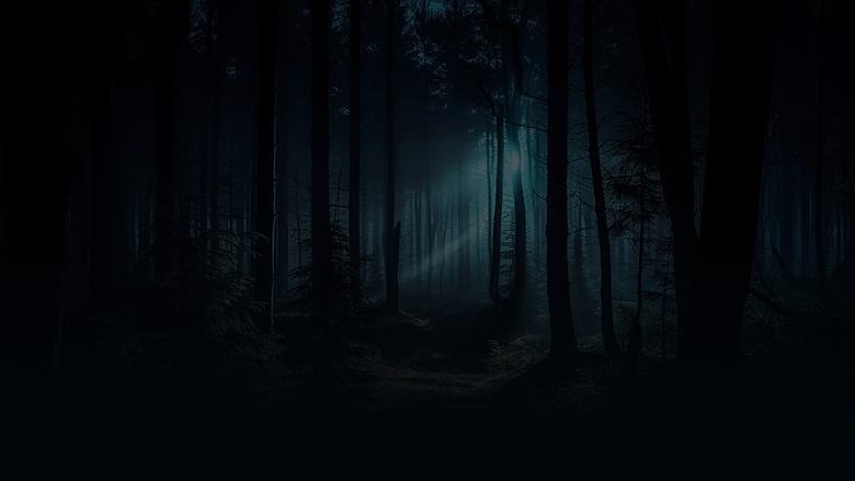 Backdrop image for movie The Haunting Lodge
