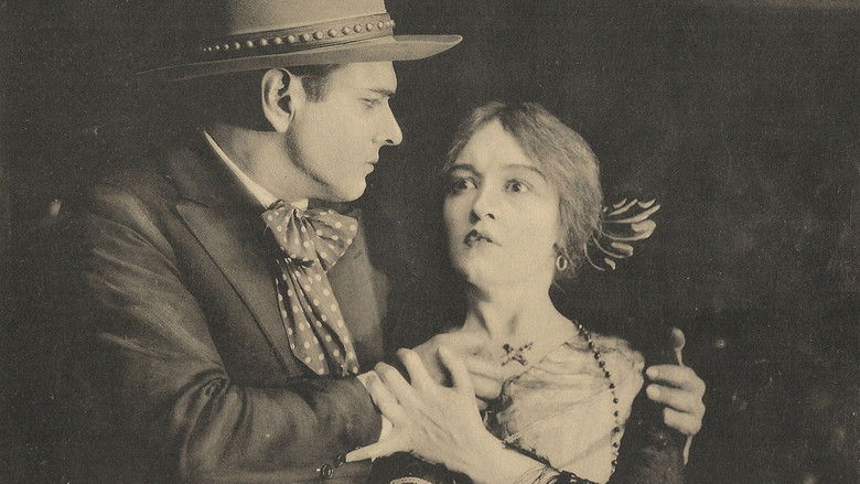 Backdrop image for movie A Branded Soul