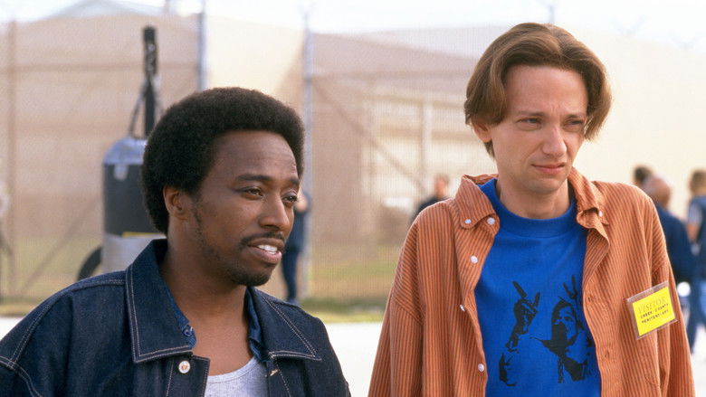 Backdrop image for movie The New Guy