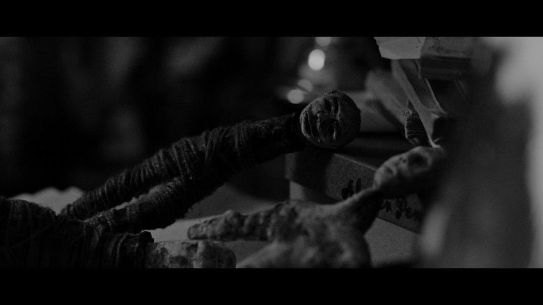 Backdrop image for movie Déjà Voodoo