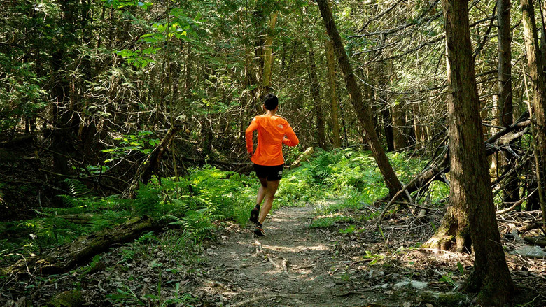 Backdrop image for movie Caribou