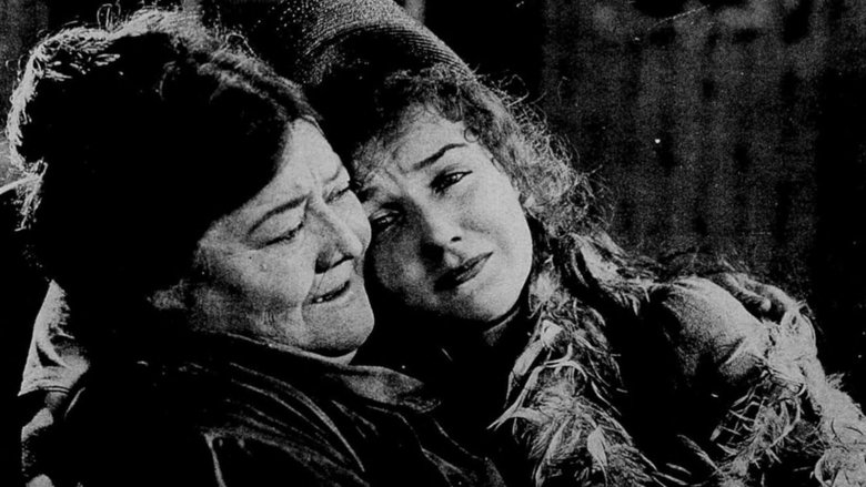 Backdrop image for movie Fools Highway